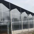 Hydroponics Agriculture Productive Agriculture Green Houses